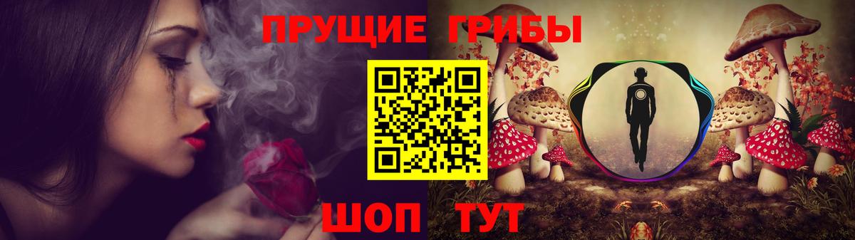 Югорск  Галлюциногенные грибы GOLDEN TEACHER  Галлюциногенные грибы MAGIC MUSHROOMS  Вход с VPN 