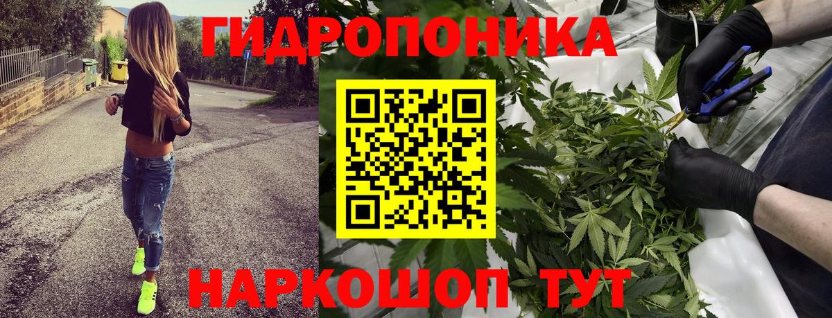 МАРИХУАНА конопля  Канабис ГИДРОПОН  Вход с VPN  Югорск  Бошки марихуана план 